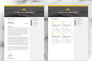 JOB WINNING RESUME - 50 TEMPLATES, a Resume Template by ResumeInventor (Thumbnail 52 of 184)