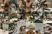 90 Olive Green Summer Stock Photos, a Photo by Incomelion (Thumbnail 9 of 9)