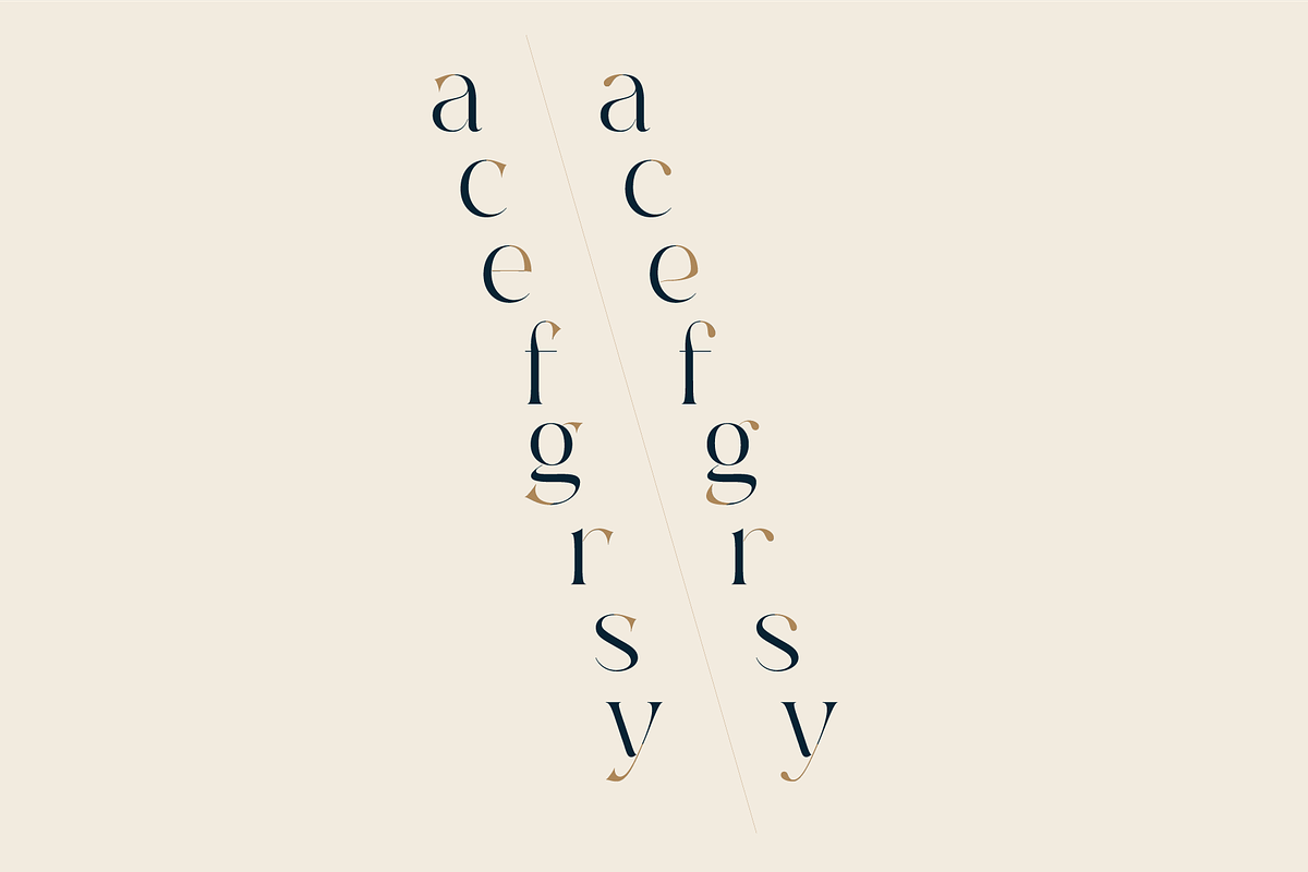 Aelyn - Ligature Serif Font, a Serif Font by Surplus Type Co (Photo 4 of 12)