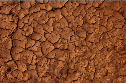 The cracked, dry earth surface, a Background Photo by Lukas Jonaitis SHOP