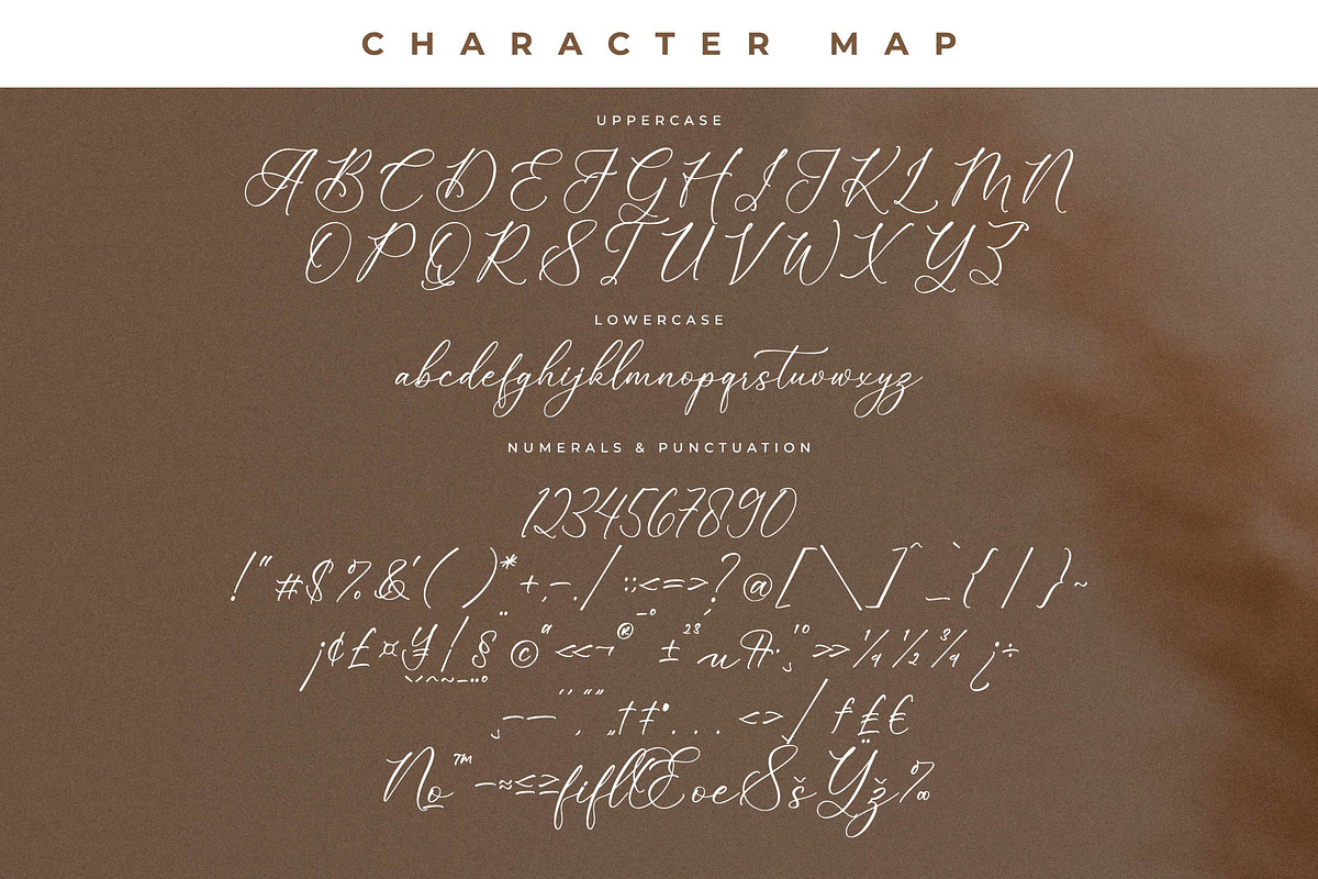 Enchanted Hermion Font Duo, a Serif Font by Storytype Studio (Photo 13 of 15)