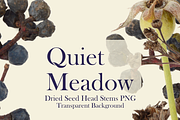 Quiet Meadow — Dried Seed Head Stems, an Object Graphic by Aga Silva (Thumbnail 4 of 4)
