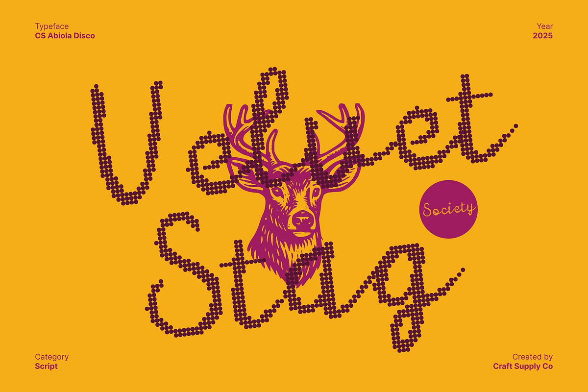 CS Abiola Disco, a Script Font by Craft Supply Co. (Photo 5 of 8)