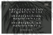 Black Echo Modern Ligature Font, a Font by AndrewPixelType (Thumbnail 11 of 12)