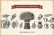 Vintage Harvest Set, a Food Illustration by Retro Graphics (Thumbnail 1 of 2)