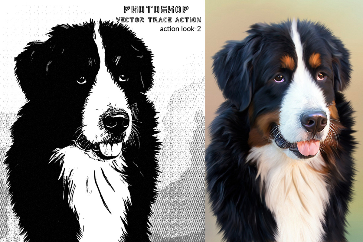 Photoshop Vector Trace Action, an Action Add-On by MRI STUDIO (Photo 6 of 8)