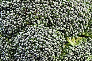 Broccoli