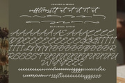 Silent Orchid, a Handwritten Font by Integritype Studio (Thumbnail 14 of 15)