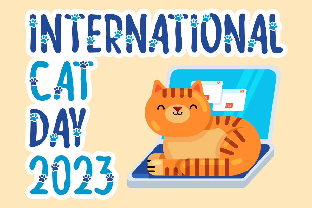 Meow Zilla - Display Cat Theme Font, a Font by PutraCetol Studio (Photo 2 of 11)