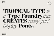 New Tropic - 8 Style Font Family, a Serif Font by Tropical Type (Thumbnail 9 of 15)