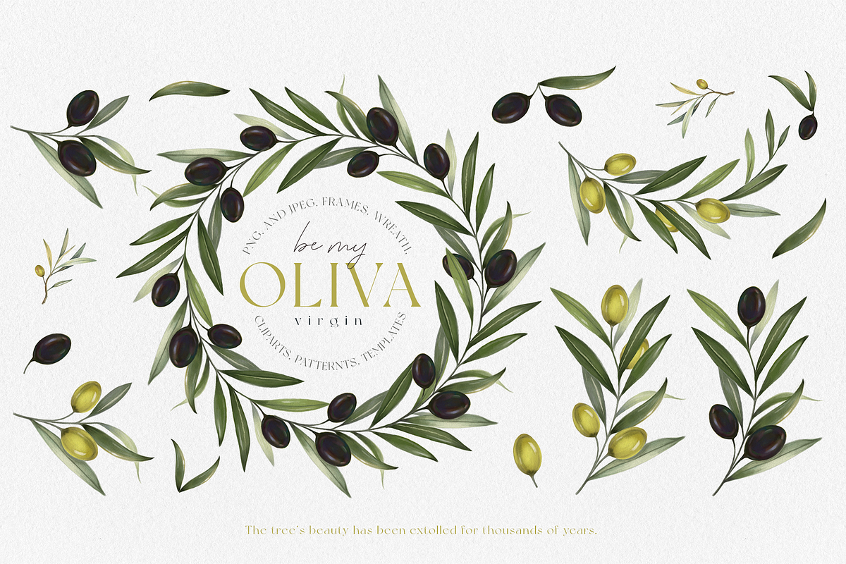 Olive illustrations and logos, an Illustration by Ojeny shop (Photo 4 of 8)