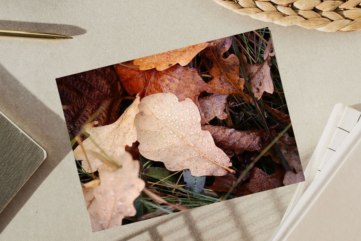 Autumn nature photography set, a Nature Photo by pictures for you (Photo 21 of 22)