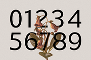 Wildborn - Logo Font, a Sans Serif Font by Umitype (Thumbnail 10 of 11)