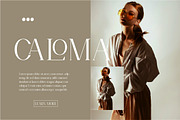 Norsel - Elegant Serif, a Serif Font by Cut Story (Thumbnail 5 of 14)