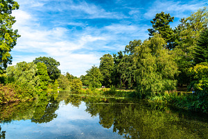 Lake at Kew Botanic Gardens in Londo, a Nature Photo by Leonid Andronov