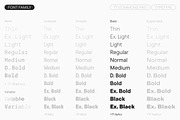TT Commons Pro Basic, a Sans Serif Font by TypeType (Thumbnail 4 of 15)