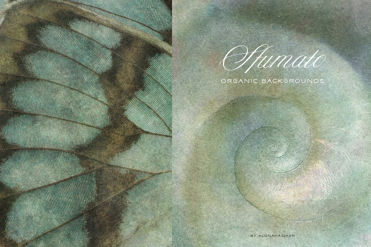 Sfumato Organic Textured Backgrounds, a Background Graphic by alonahaidash (Photo 15 of 15)
