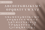 Lerum, a Serif Font by Larin Type Co. (Thumbnail 13 of 14)