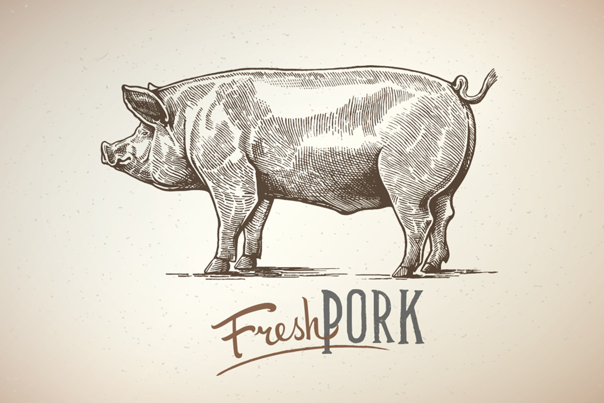 Pigs in graphical style, an Animal Illustration by Countryside life (Photo 1 of 11)