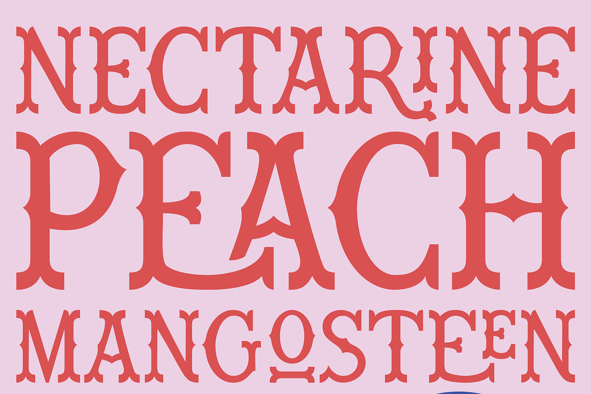Wiley Decorative Latin & Greek Font, a Slab Serif Font by Molly Suber Thorpe (Photo 10 of 16)