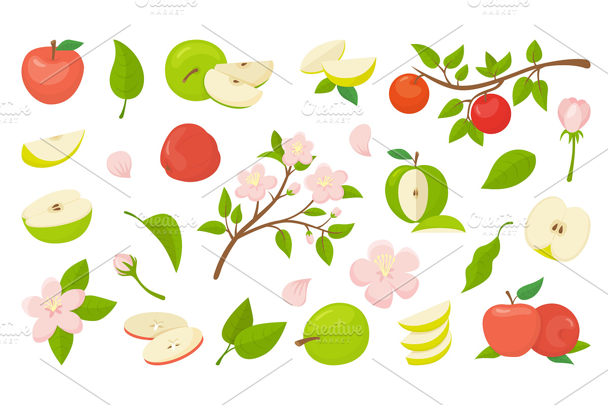 Apple branches. Garden elements, a Food Illustration by Valerie Bodnar