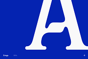 Eriega | Modern Tech Display, a Serif Font by Aluyeah Studio (Thumbnail 4 of 16)