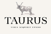 Taurus -high class serif, a Serif Font by Fenotype (Thumbnail 1 of 9)