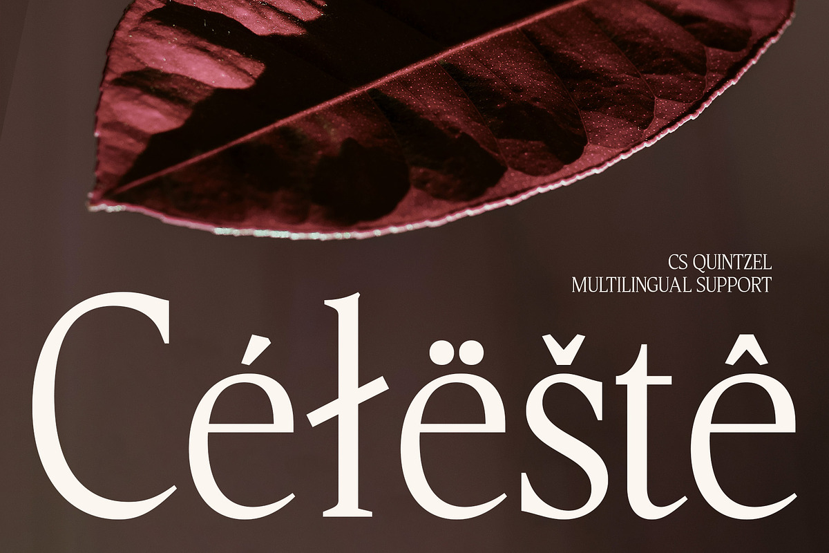 CS Quinzel – Contemporary Font, a Serif Font by Craft Supply Co. (Photo 7 of 8)