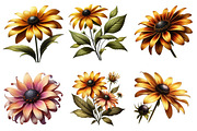 Black Eyed Susan Clipart Bundle., a Graphic by CitraGraphics (Thumbnail 4 of 4)