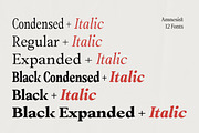 Amnesist | 12 Fonts, a Serif Font by Skinny Type (Thumbnail 4 of 12)