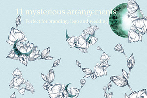 Lunar Lotus. Mysterious Graphic Set