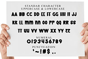 The United, a Script Font by FreshTypeINK (Thumbnail 7 of 8)
