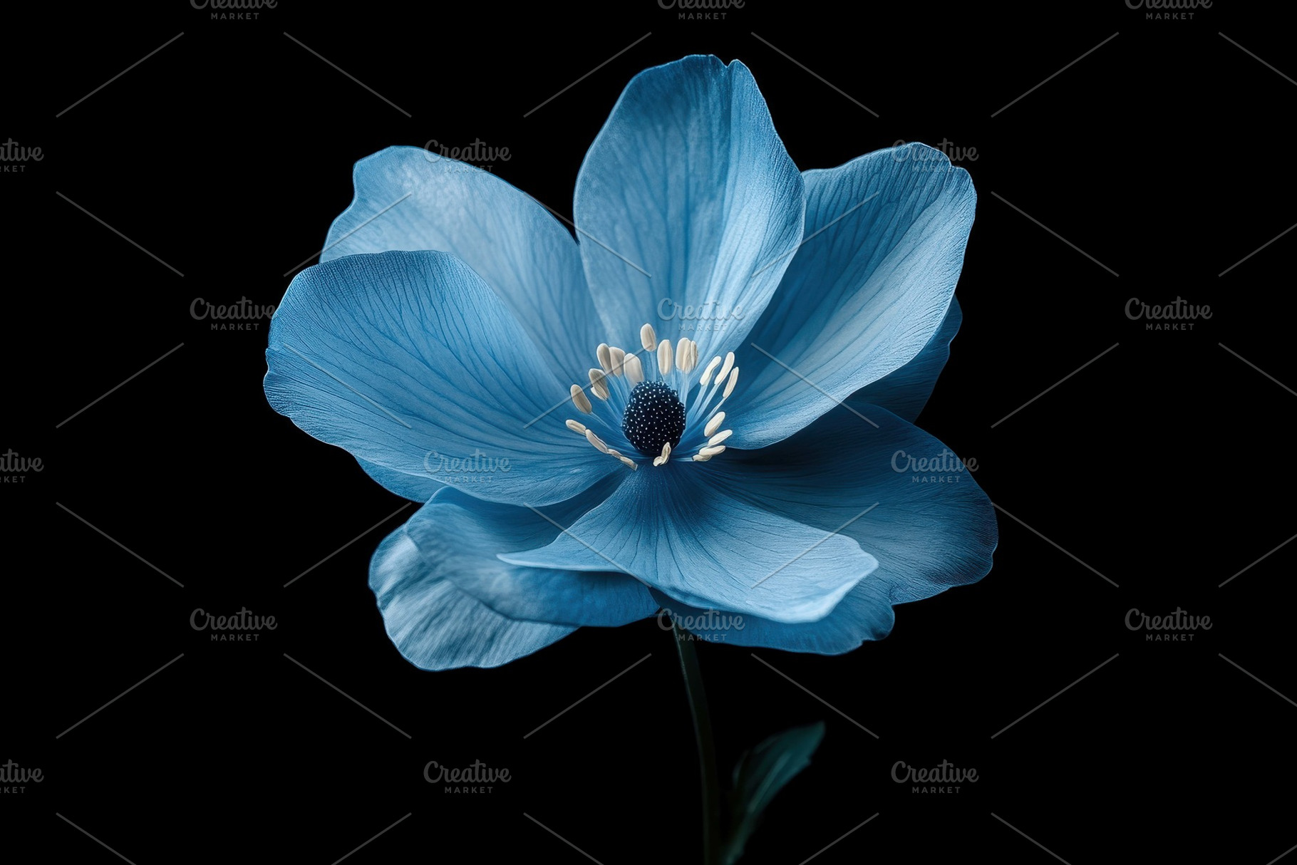 Blue flower with delicate petals hig, a Photo by Tanuart