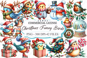 Christmas Funny Birds Sublimation, an Illustration by designcity5