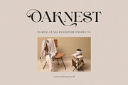 Cangkem || Elegant Display Serif, a Serif Font by BrandSemut (Thumbnail 14 of 20)