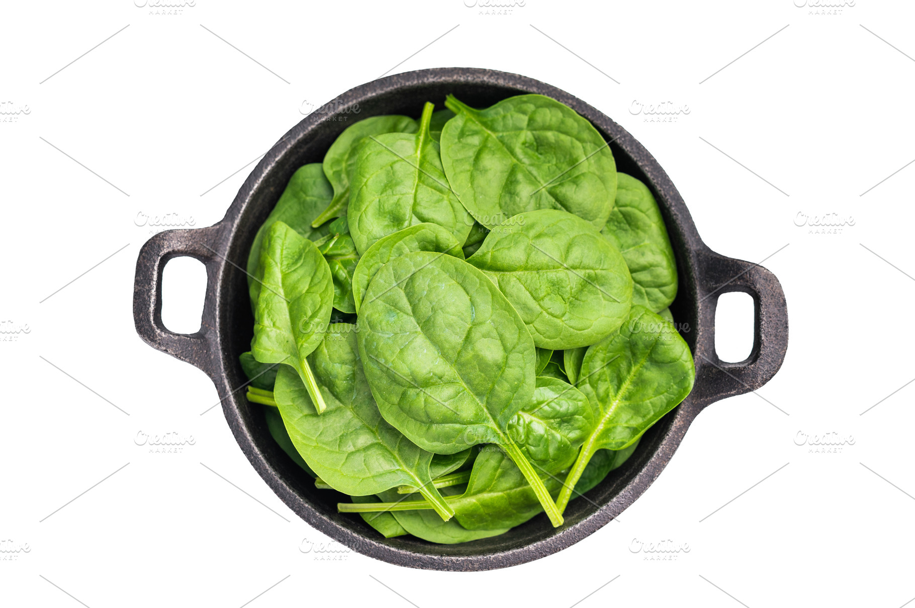 Crisp and lush fresh spinach ready for your favorite recipes, a, a Food & Drink Photo by composter-box@mail.ru