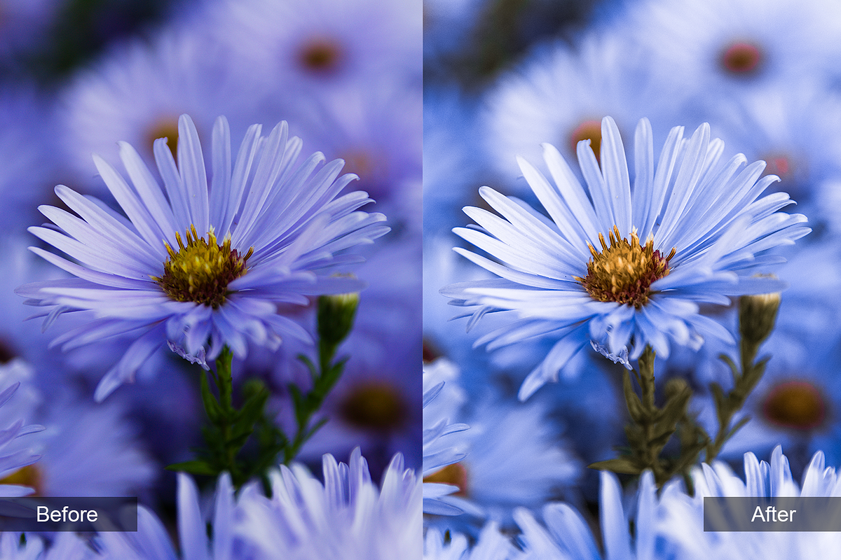 Travel Preset Pack, a Preset Add-On by MadeRed (Photo 10 of 16)