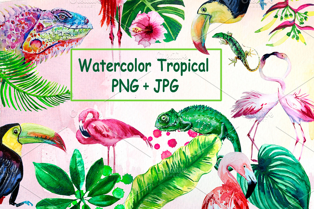 Watercolor tropical leaves Clipart, a Decorative Illustration by lilisavelieva (Photo 2 of 7)