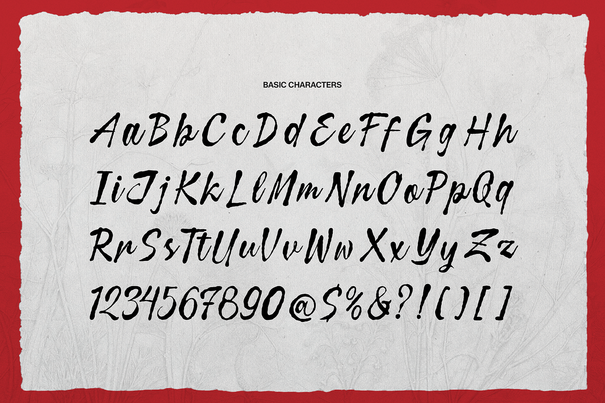Curiousity Reuis Handwritten Script, a Script Font by gracetype_studio (Photo 9 of 11)