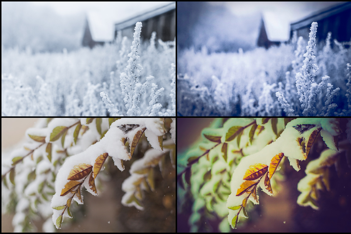 7000+ Professional Lightroom Presets, a Layer Style Add-On by Eldamar Studio (Photo 27 of 33)