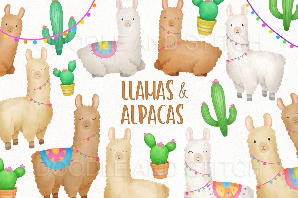 Llama and Alpacas Illustrations, an Animal Illustration by Doodle and Stitch (Photo 1 of 2)