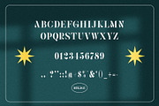 Mikage Elegant Serif Font Typeface, a Serif Font by Graphicxell (Thumbnail 10 of 10)