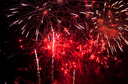 Fireworks Celebration Series - 1