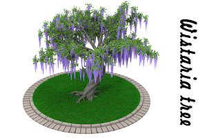 Wistaria Tree