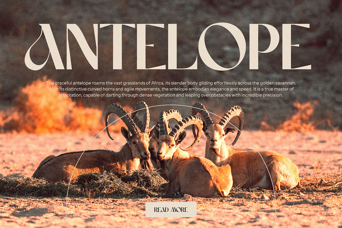 Marlon Elegant Serif Font Typeface, a Serif Font by Perfectype (Photo 9 of 10)