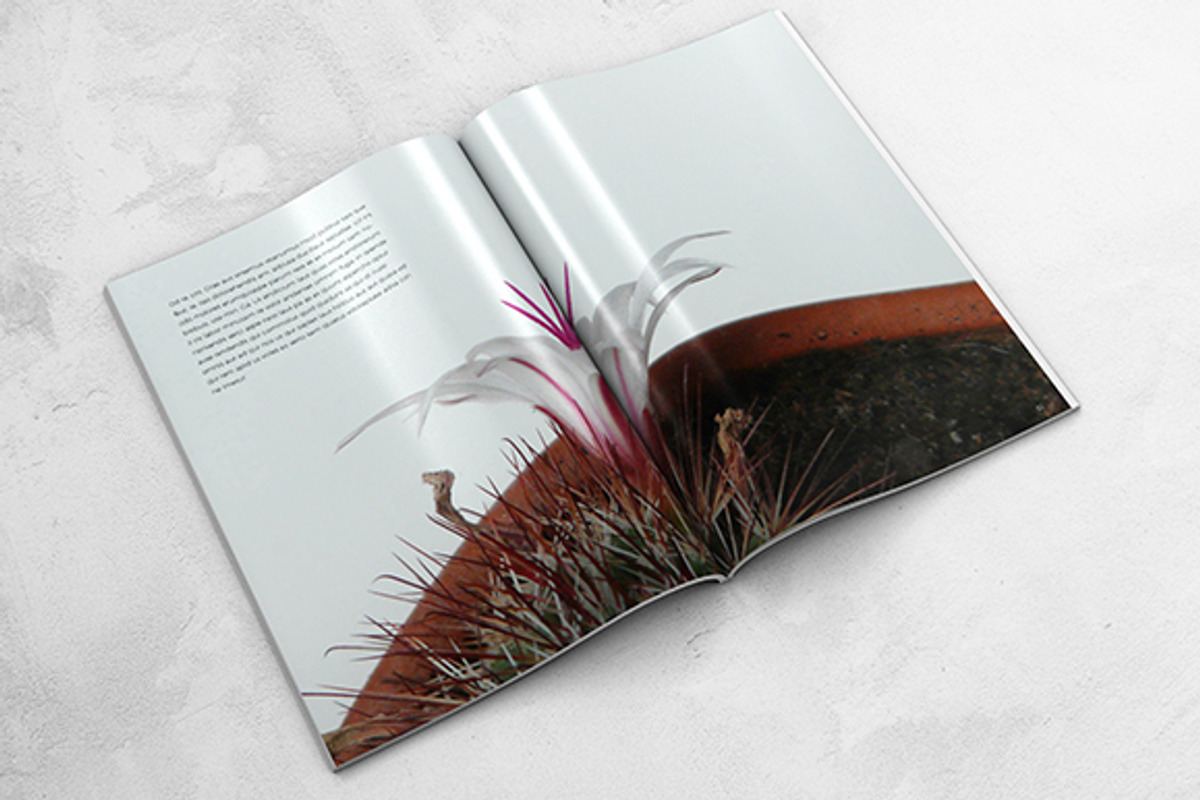 Geogrunge Magazine, a Magazine Template by Bookrak Graphic Design (Photo 2 of 13)