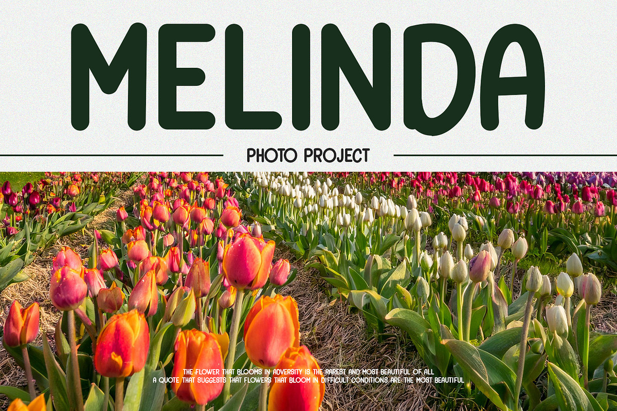 Slicao Acerton Monoline Display Font, a Sans Serif Font by Maulana Creative (Photo 6 of 7)