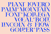 AMOVAND, a Serif Font by Bagerich Type Foundry (Thumbnail 12 of 15)