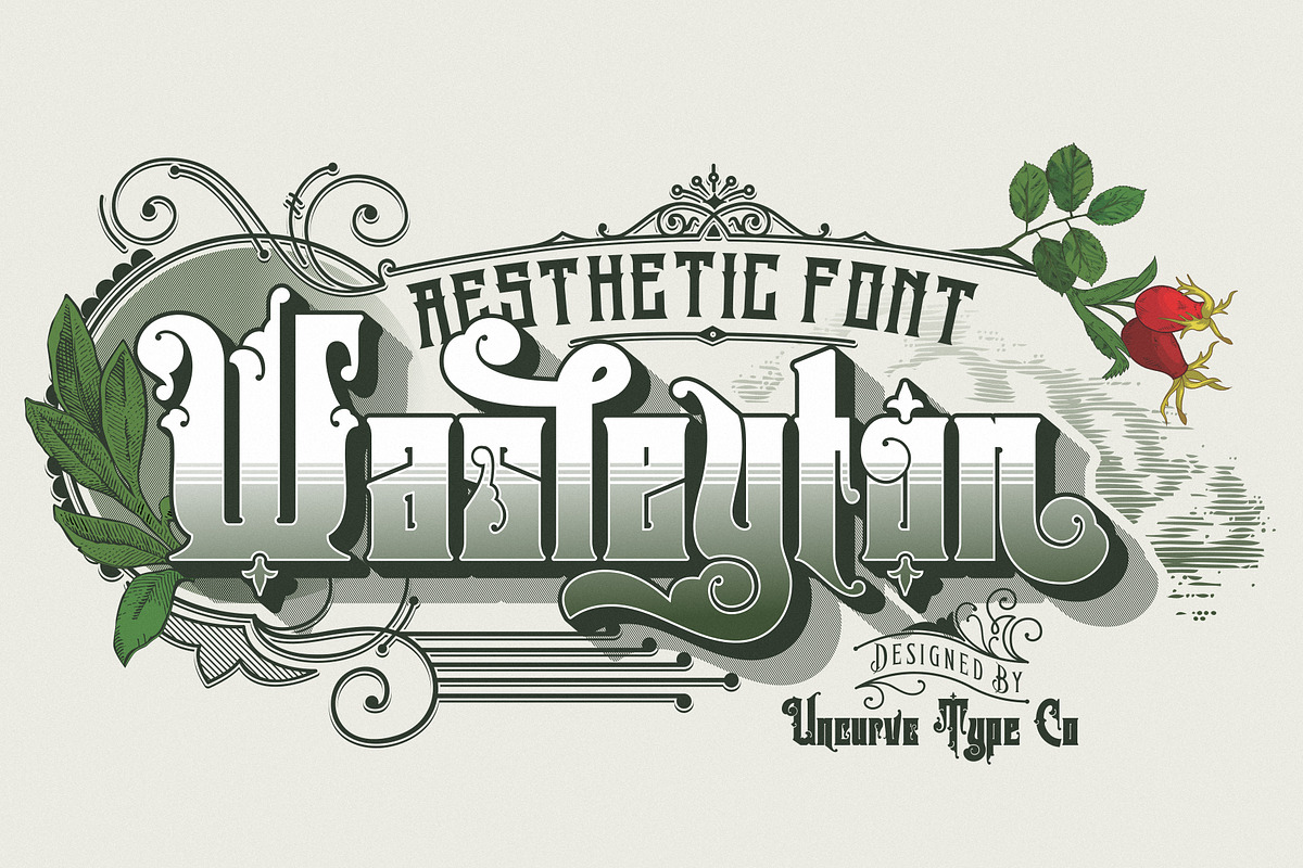Wasleyton, a Serif Font by uncurve (Photo 1 of 9)