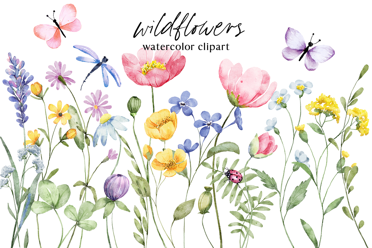 Wild flowers, butterflies, dragonfly, a Decorative Illustration by Larisa Maslova (Photo 1 of 9)